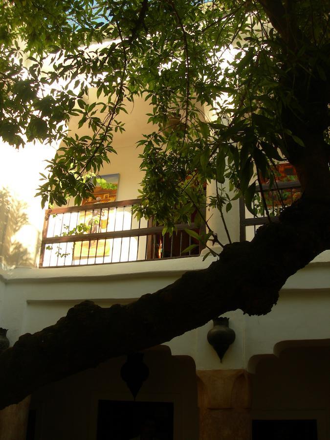 Riad Aldiana Μαρακές Εξωτερικό φωτογραφία